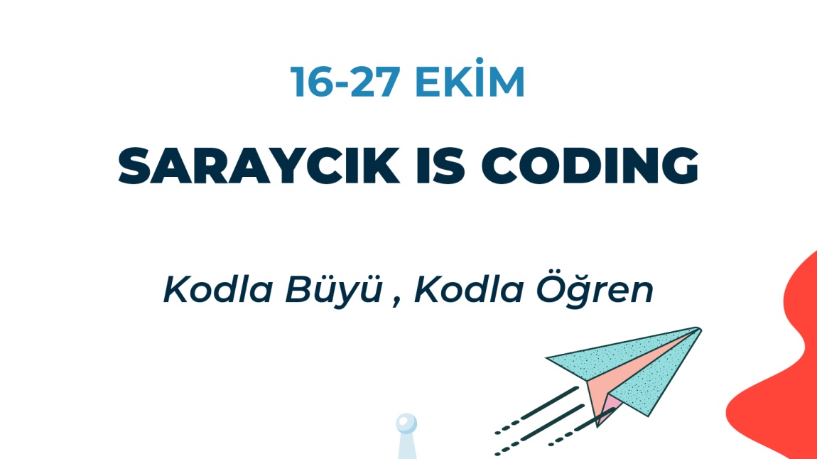 SARAYCIK KODLUYOR